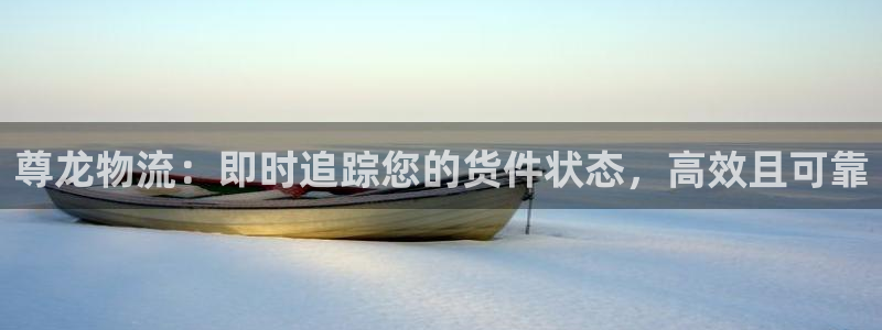 28圈是什么软件：尊龙物流：即时追踪
