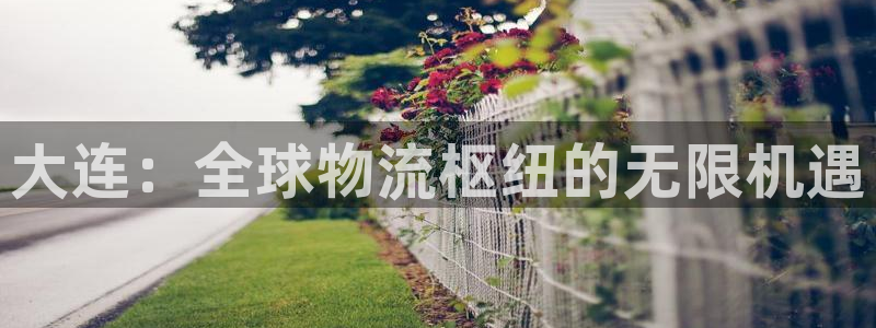 28圈app怎么注销：大连：全球物流
