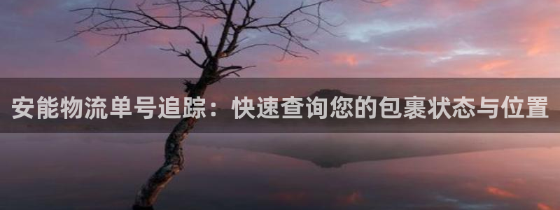 28圈官网平台