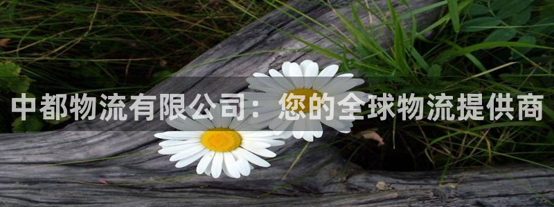 28圈哪个最赚钱