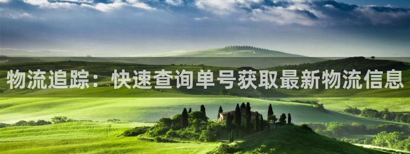 28圈百度百科：物流追踪：快速查询单