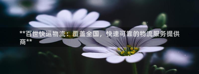 28圈加拿大能提现吗