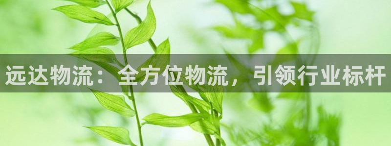 28圈注册问一问：远达物流：全方位物