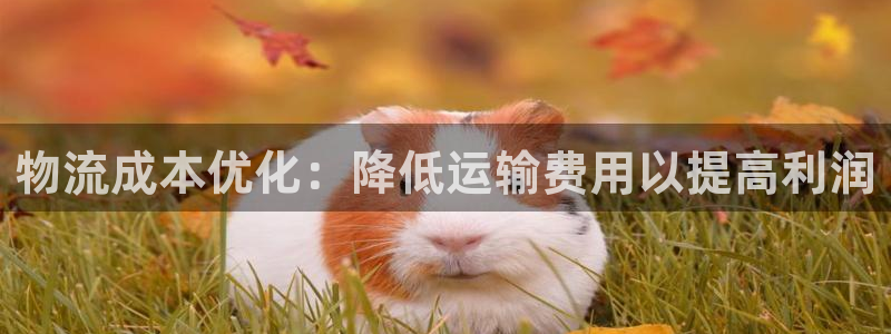 28圈官方网站