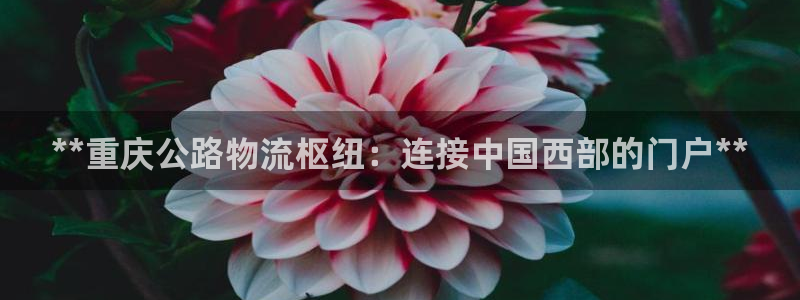 28圈黑吗：**重庆公路物流枢纽：连