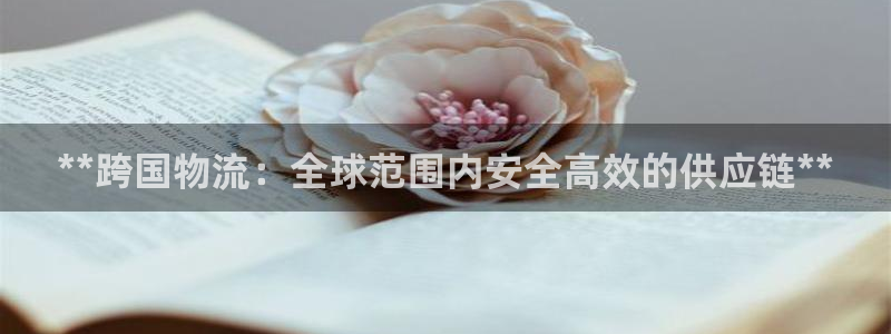 28圈登陆网
