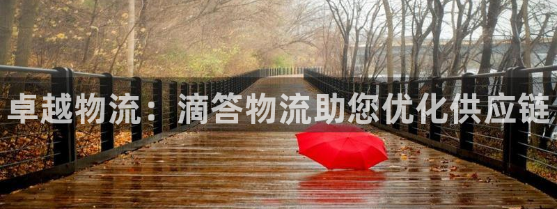28圈官网版下载：卓越物流：滴答物流