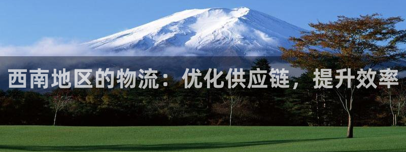 28圈官网开奖结果预测查询