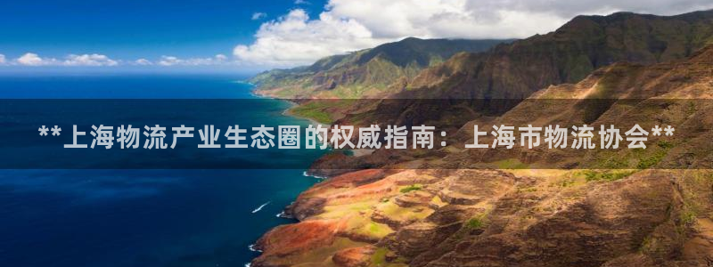 28圈是正规平台吗：**上海物流产业
