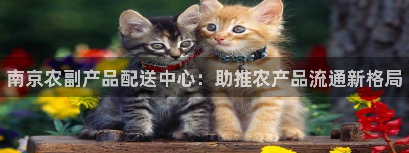 28圈犯法吗：南京农副产品配送中心：