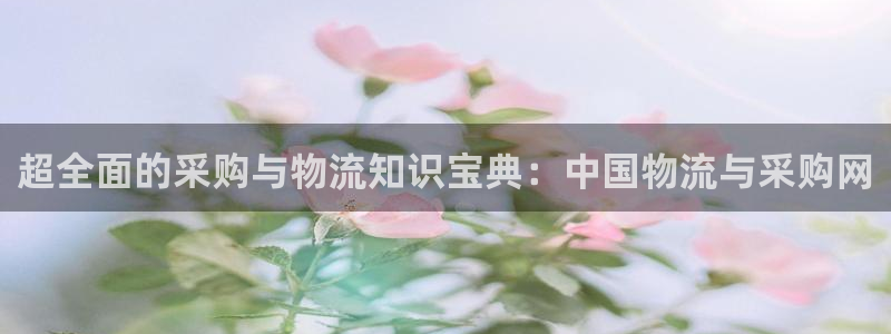 28圈最稳打法