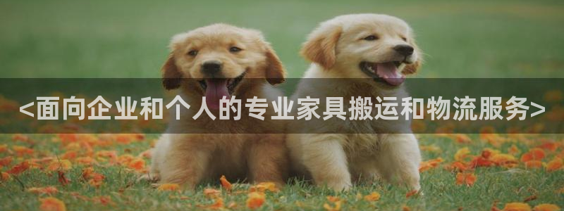 28圈黑不黑：<面向企业和个人的专业