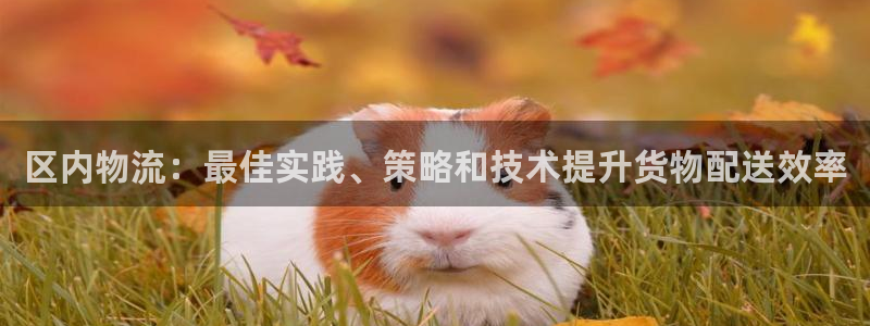 28圈注册入口与教程：区内物流：最佳