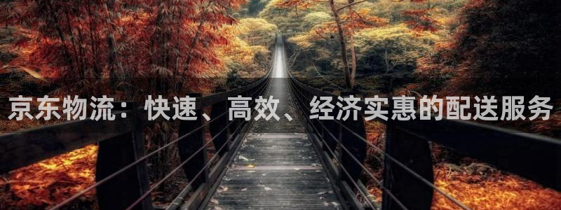 28圈网站怎么注册：京东物流：快速、