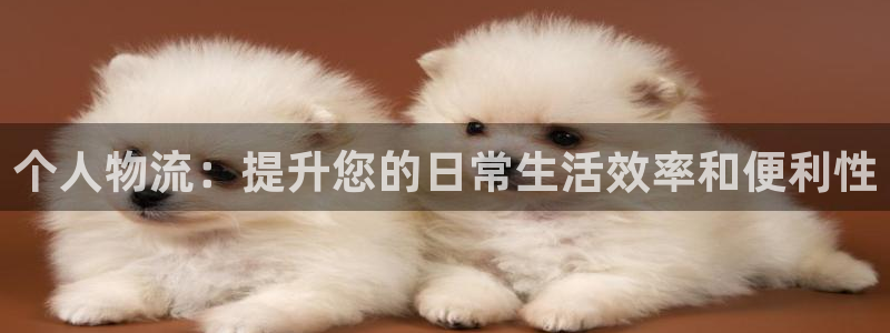 28圈网赌案件：个人物流：提升您的日