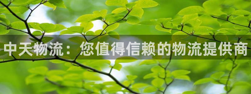 28圈游戏官网入口