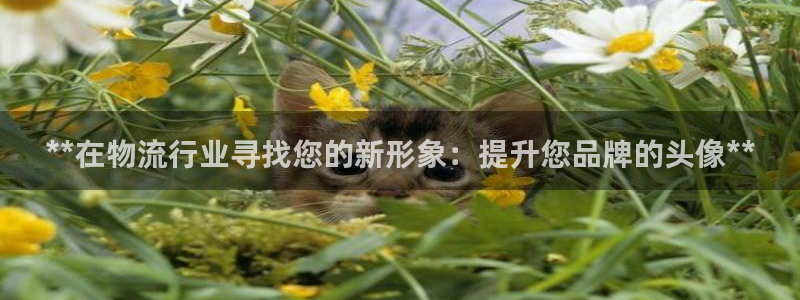 28圈加拿大模拟器：**在物流行业寻