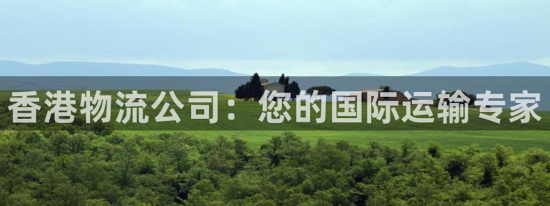 自行车28圈是什么意思：香港物流公司