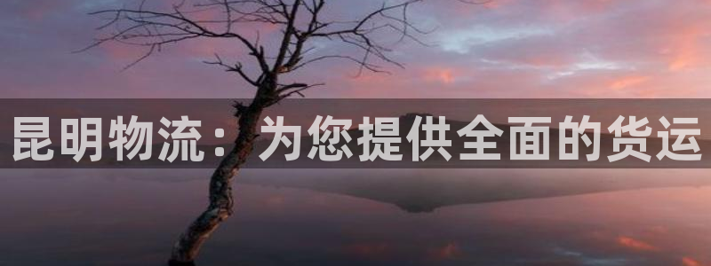 28圈初始密码在哪里修改：昆明物流：