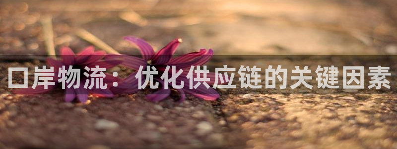 28圈不给提现：口岸物流：优化供应链
