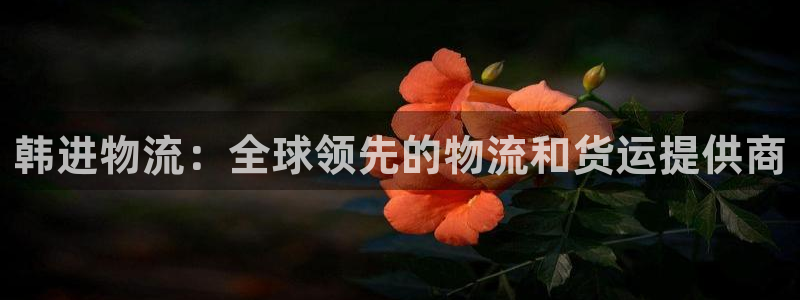 28圈分分28预测