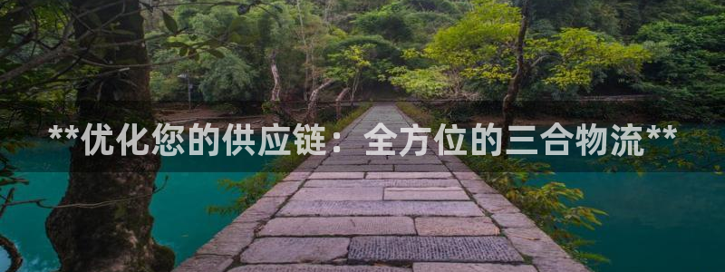 28圈取保：**优化您的供应链：全方