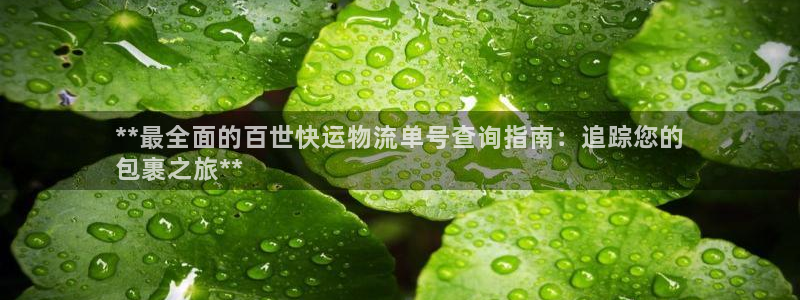 28圈初始资金密码是什么：**最全面
