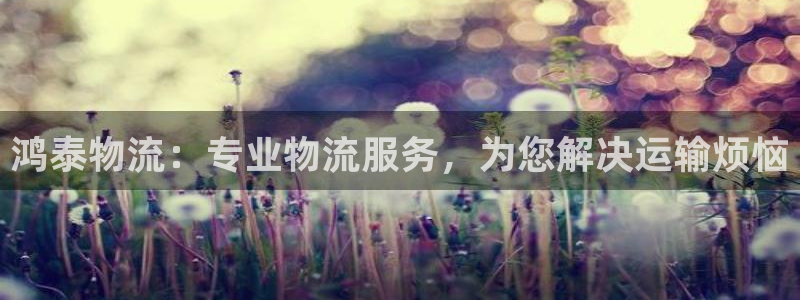 28圈充值不处理会怎么样：鸿泰物流：