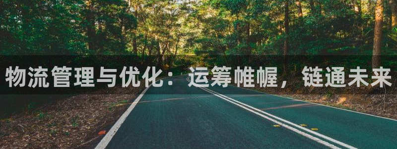 28圈电子：物流管理与优化：运筹帷幄