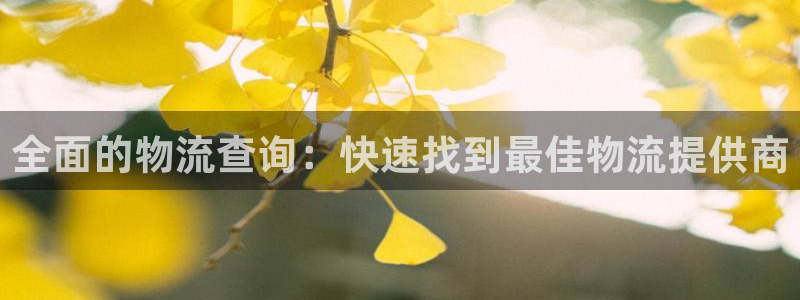 28圈充值金额随便：全面的物流查询：