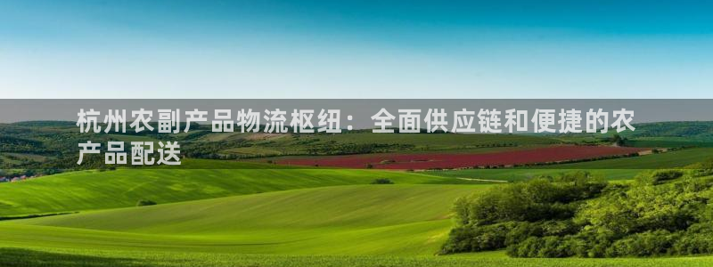 28圈注册网站链接：杭州农副产品物流