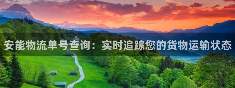 28圈官网平台下载：安能物流单号查询