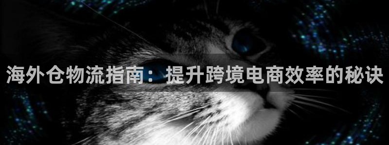 28圈充值金额随便：海外仓物流指南：