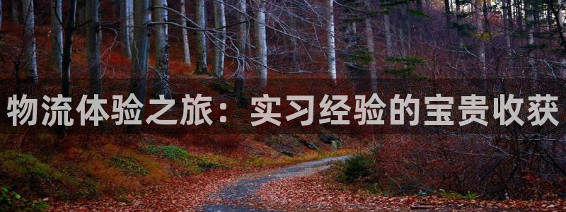 28圈麻将胡了