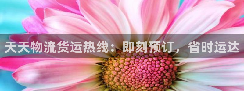 28圈加拿大真假怎么看