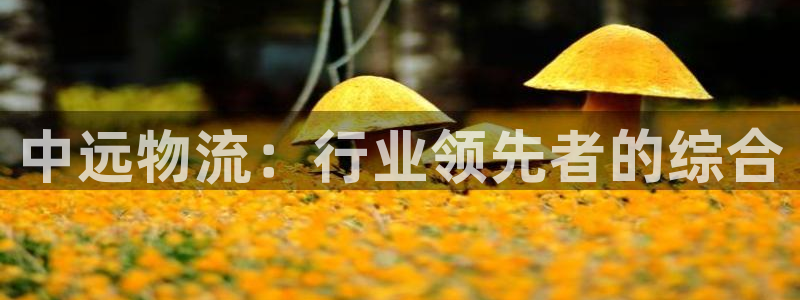 28圈aPP退款