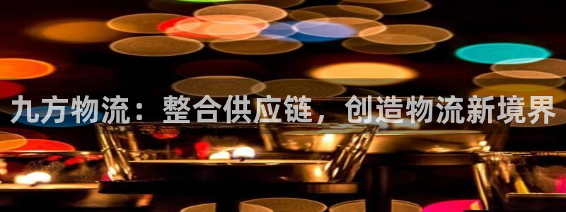 28圈游戏官网版：九方物流：整合供应