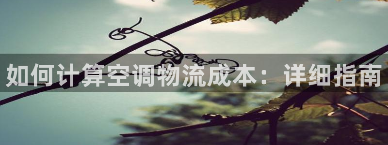 28圈网站怎么注册：如何计算空调物流