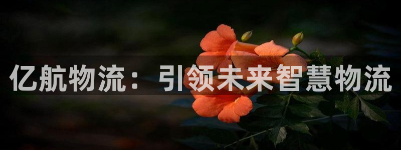 28圈昵称