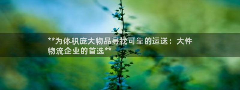28圈登录网：**为体积庞大物品寻找