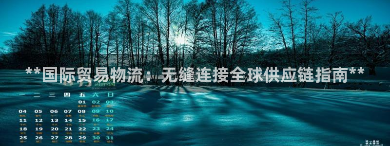 28圈登录：**国际贸易物流：无缝连