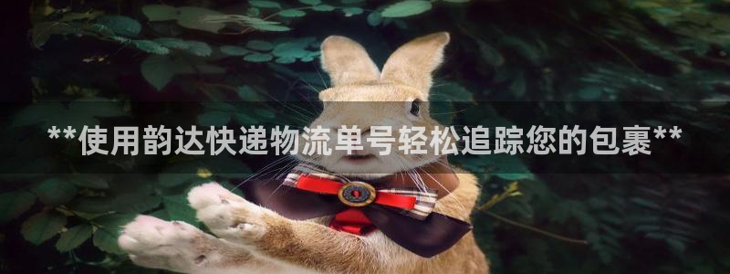 28圈app怎么注册账号：**使用韵