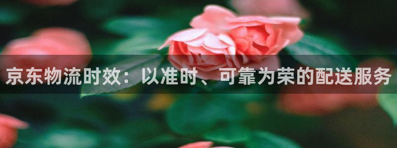 28圈注册网站链接：京东物流时效：以
