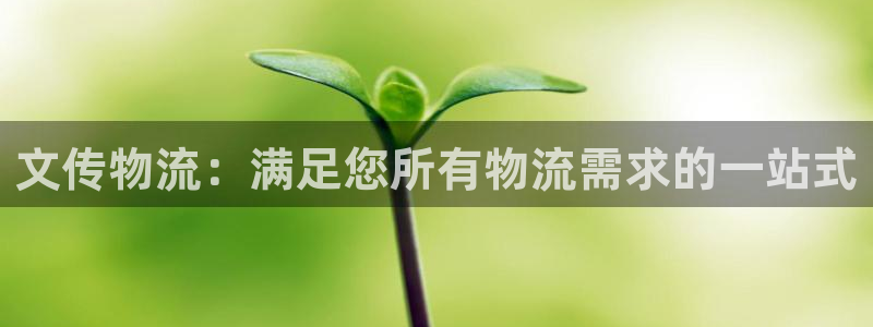 28圈加拿大是什么