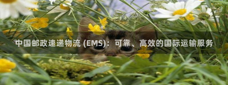 28圈提现不到账：中国邮政速递物流 