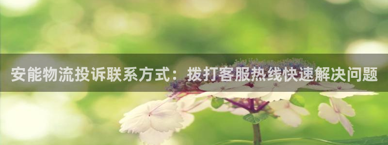 28圈如何看计划：安能物流投诉联系方