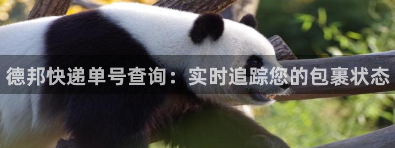 28圈推广链接是多少粉丝：德邦快递单