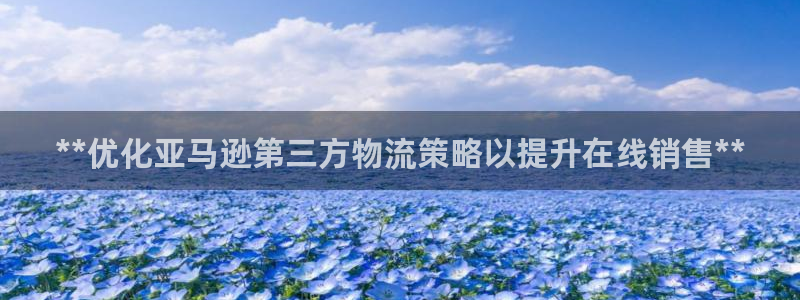 28圈的自行车：**优化亚马逊第三方