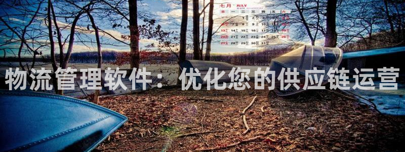 28圈黑钱：物流管理软件：优化您的供