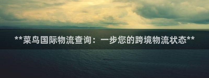 28圈.ccm正版：**菜鸟国际物流